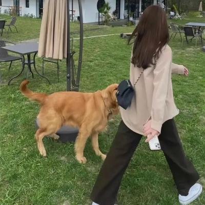 遇见你